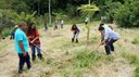 #Pratodosverem: Estudantes do 1º ano fazendo a manutenção da área. Eles estão ao redor das plantas com enxadas.