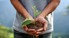 #Pratodosverem: Imagem ilustrativa. Pessoa com os braços para a frente, segurando uma muda de planta.