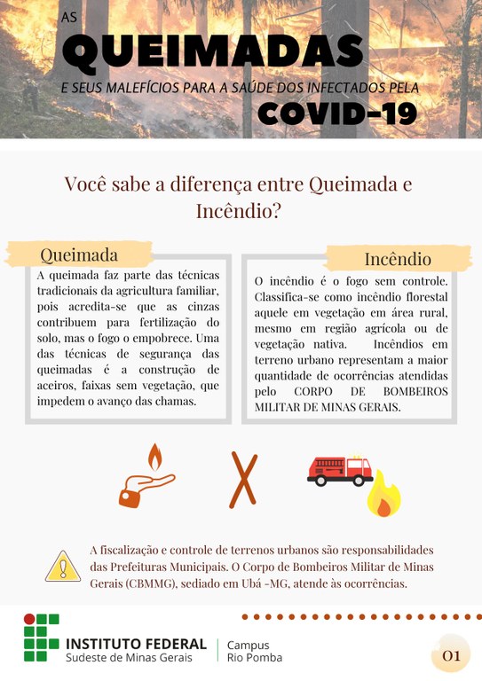 Cartilha queimadas 1