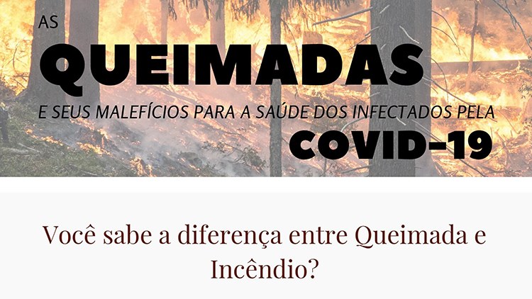 Cartilha queimadas