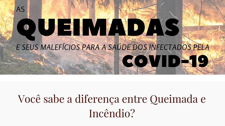 Cartilha queimadas