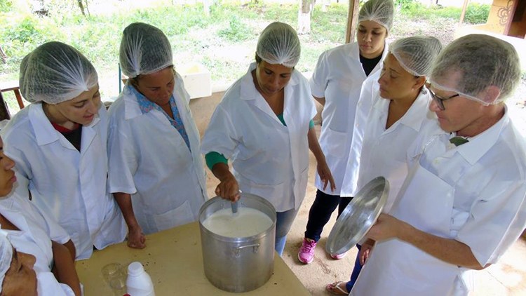 Núcleo de Estudo em Agroecologia