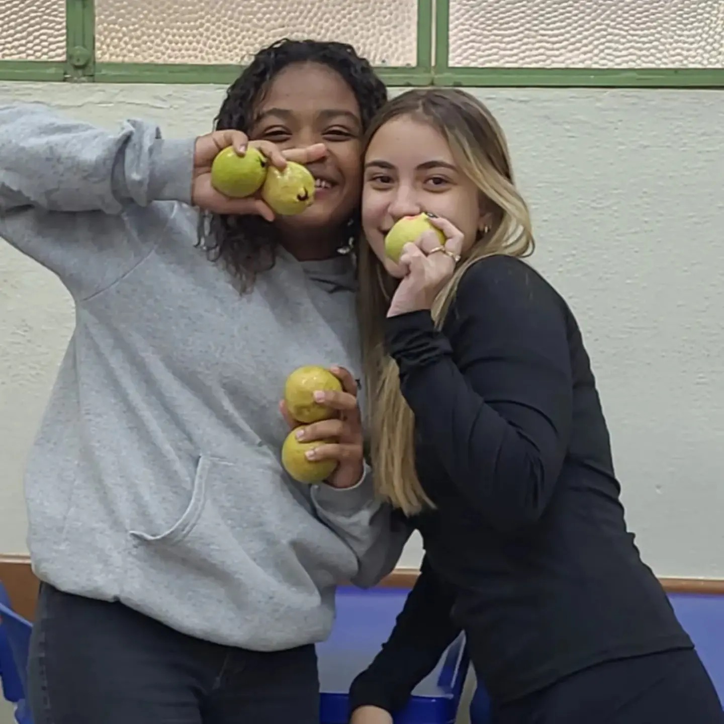 alimentação saudavel 1.jpg