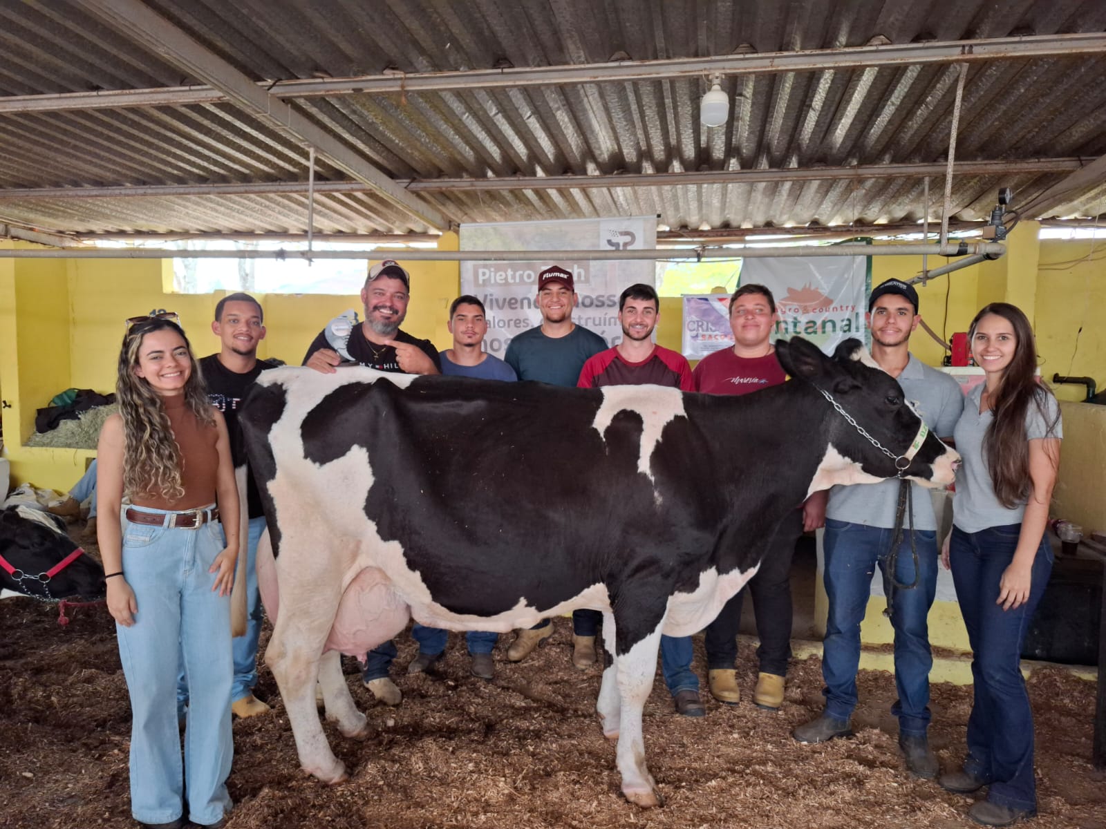 Torneil leiteiro.jpg