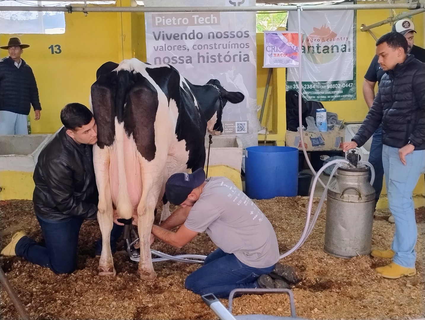 WhatsApp Image 2024-08-26 at 08.07.44.jpeg