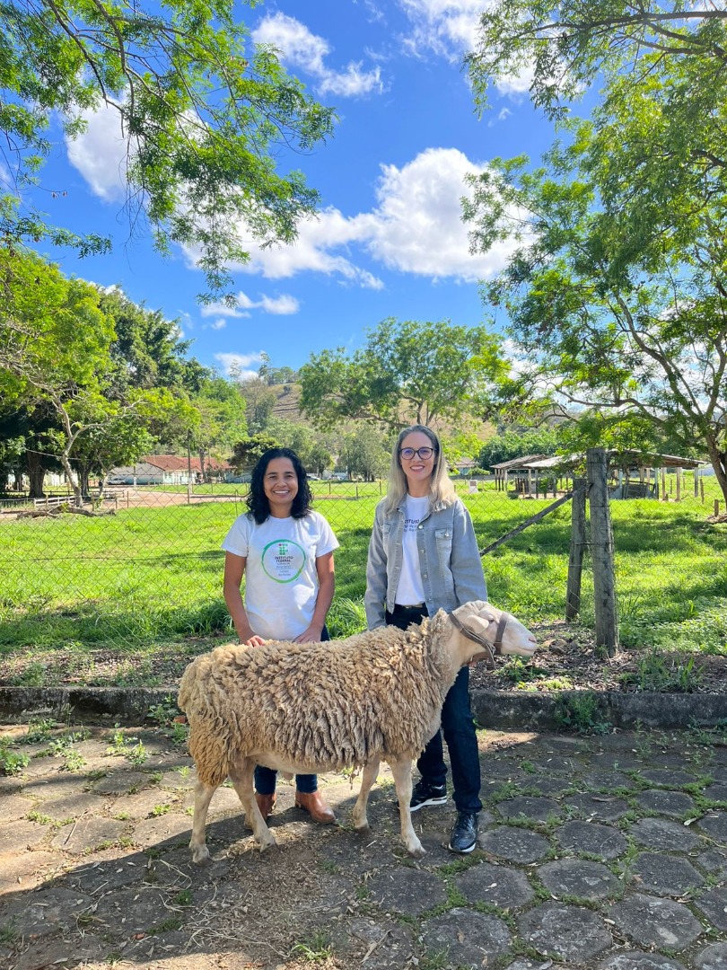 WhatsApp Image 2025-10-22 at 08.56.21.jpeg