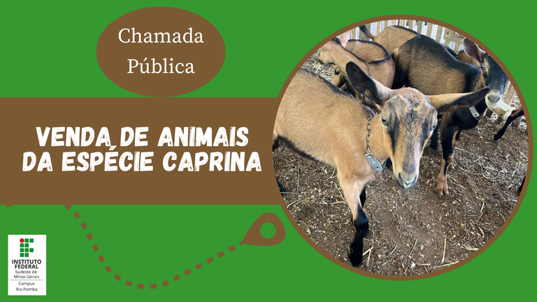 venda caprinos site.png