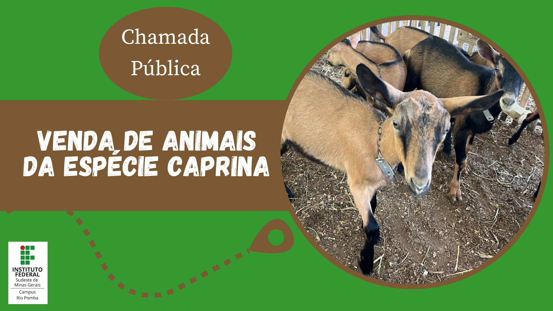 venda caprinos site.png