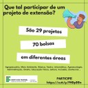 bolsas extensão.jpg