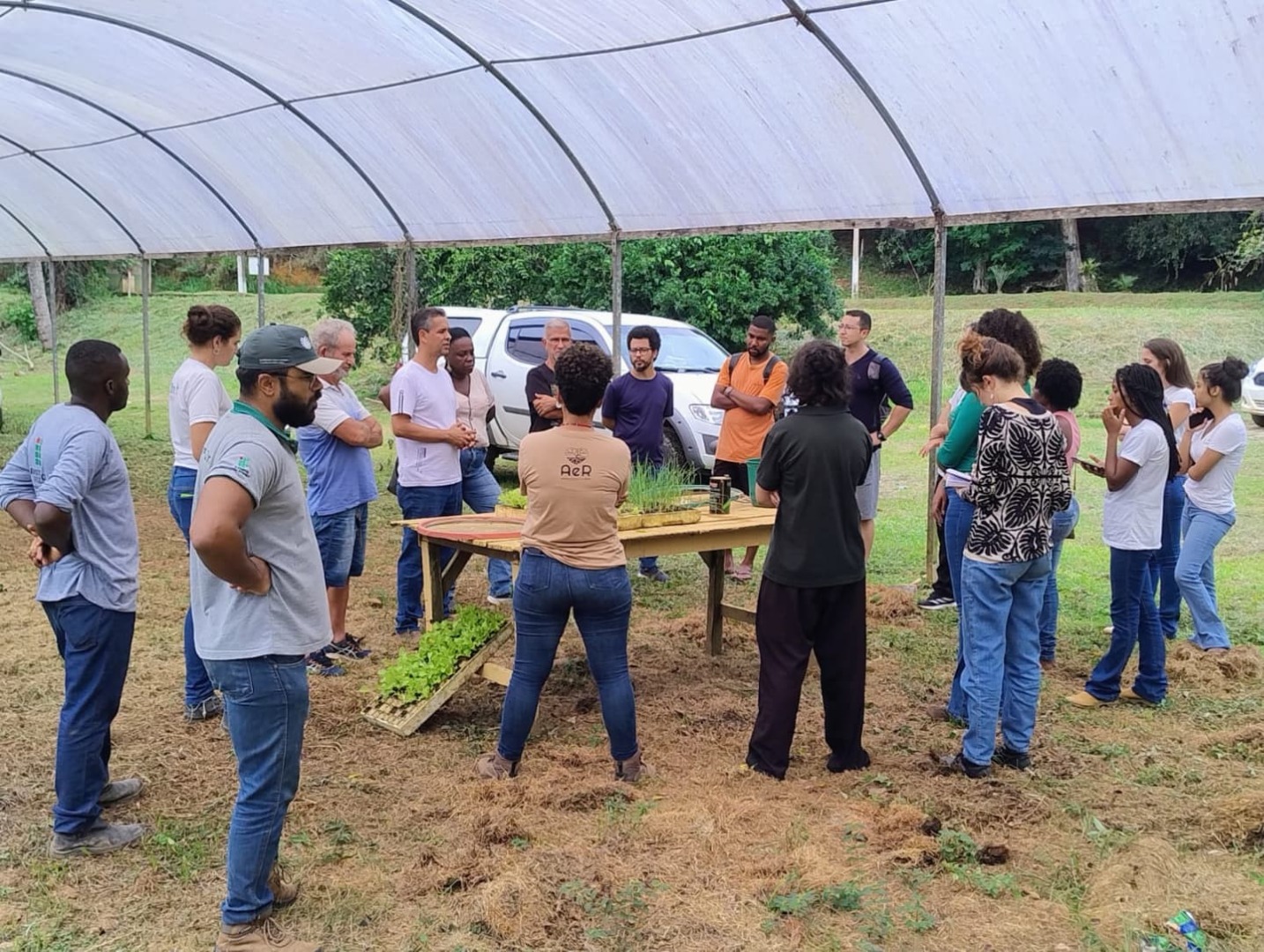 dia de campo 2504 2.jpg