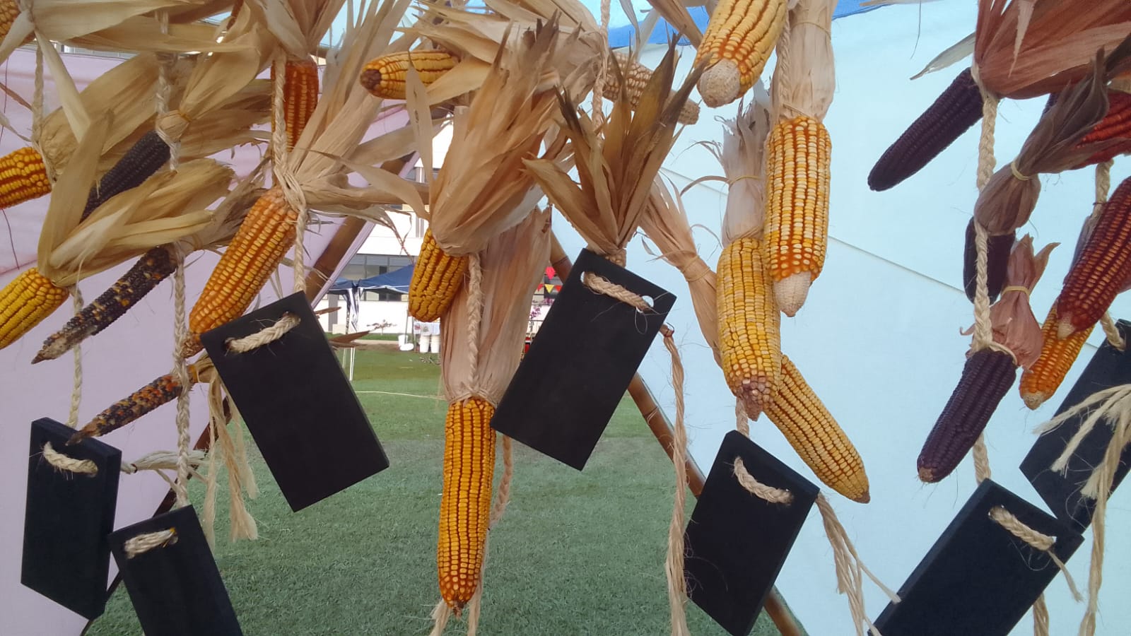 WhatsApp Image 2025-07-23 at 14.10.12.jpeg