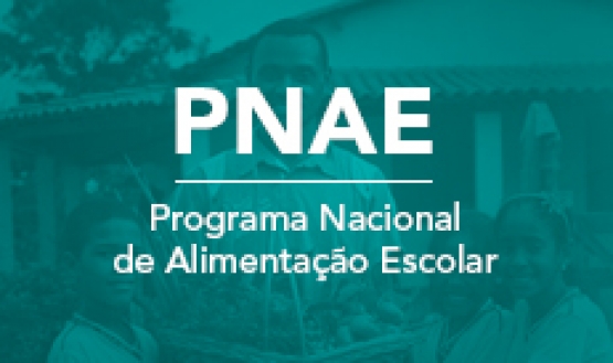 PNAE.jpg