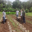 estagiarios franceses 1.jpg