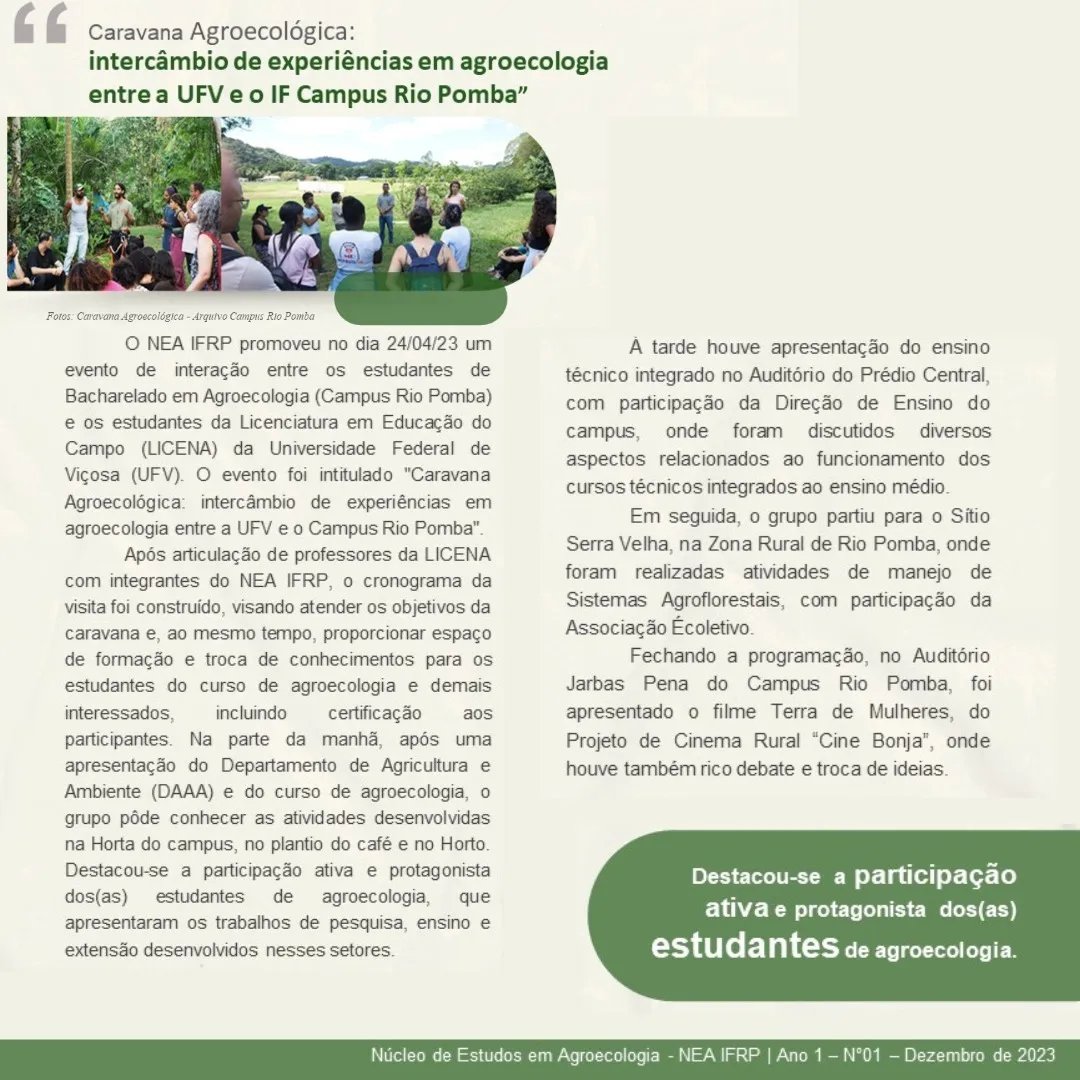 mais agroecologia 2.jpg