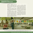 mais agroecologia 3.jpg