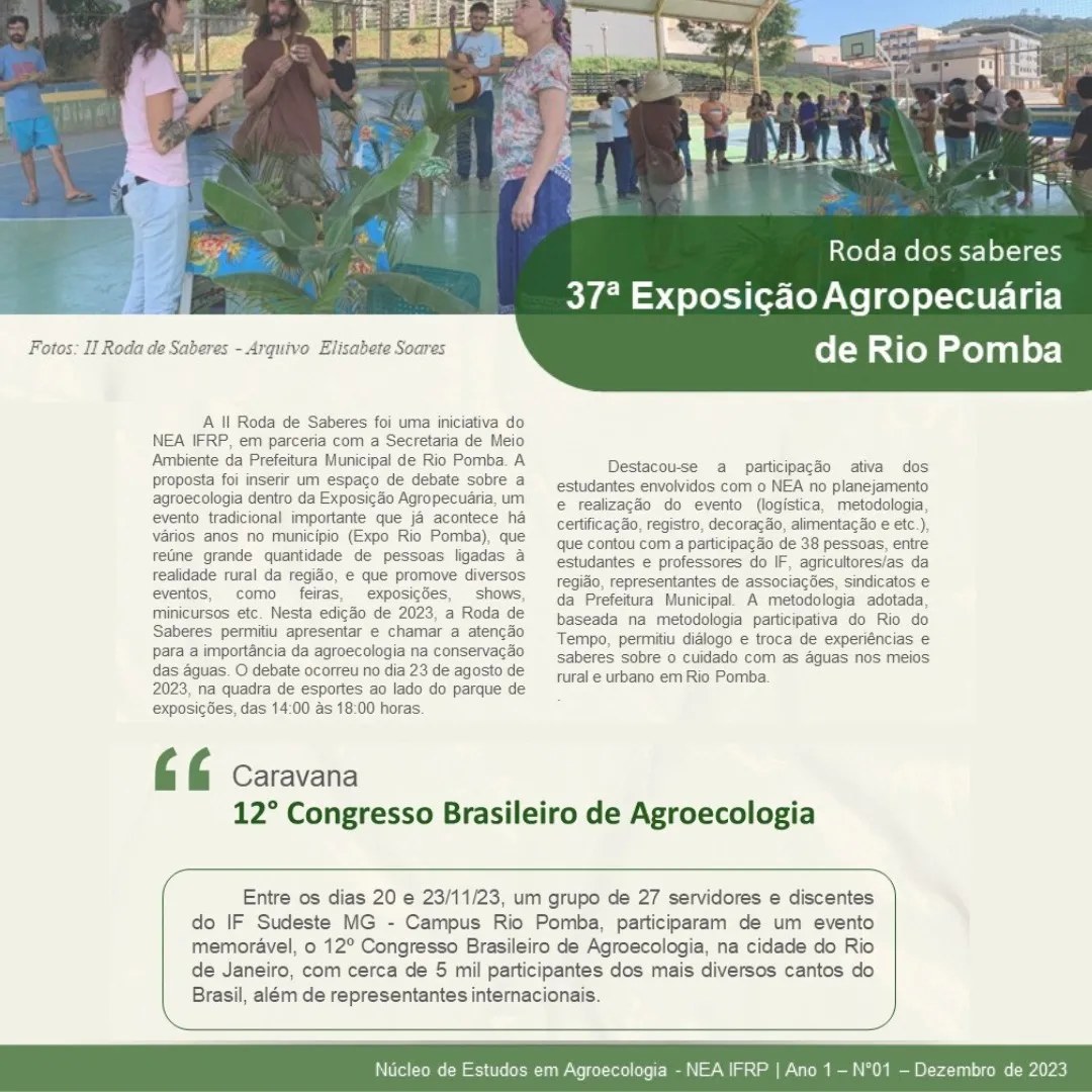mais agroecologia 4.jpg
