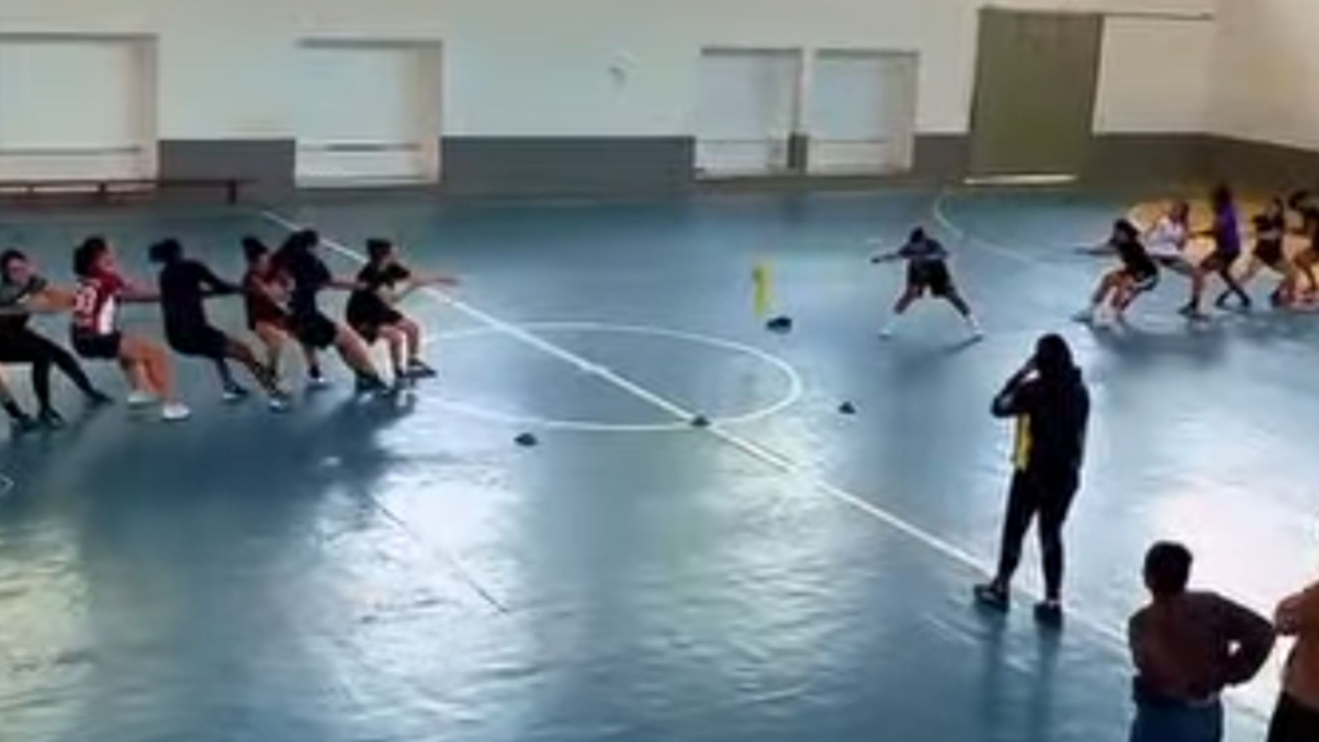 projeto Elementos Afro-Indígenas.jpg