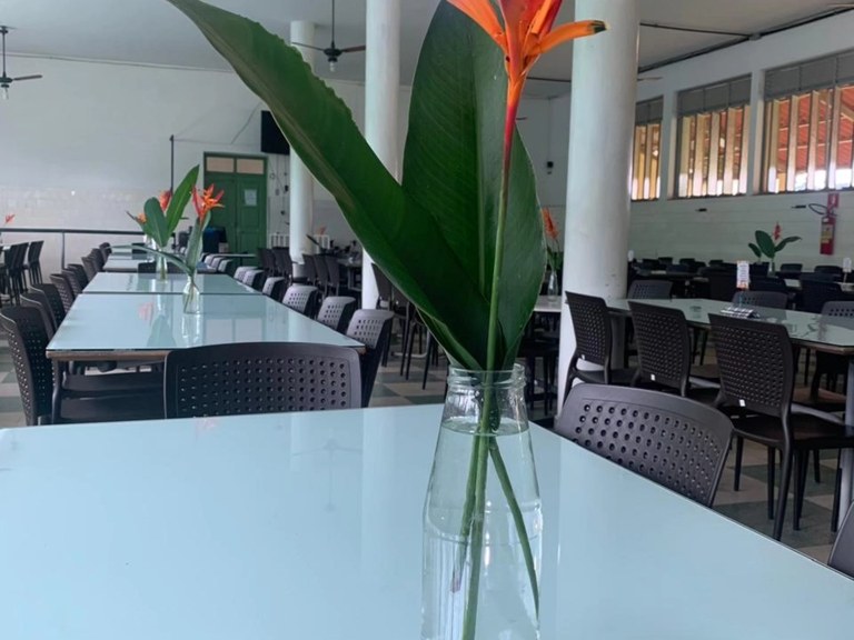 cadeiras refeitorio 2.jpg