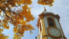 #pratodosverem: Imagem mostra igreja em Tiradentes. Aparece, à esquerda, um ipê amarelo. Foto: Becos de Tiradentes City Tour.