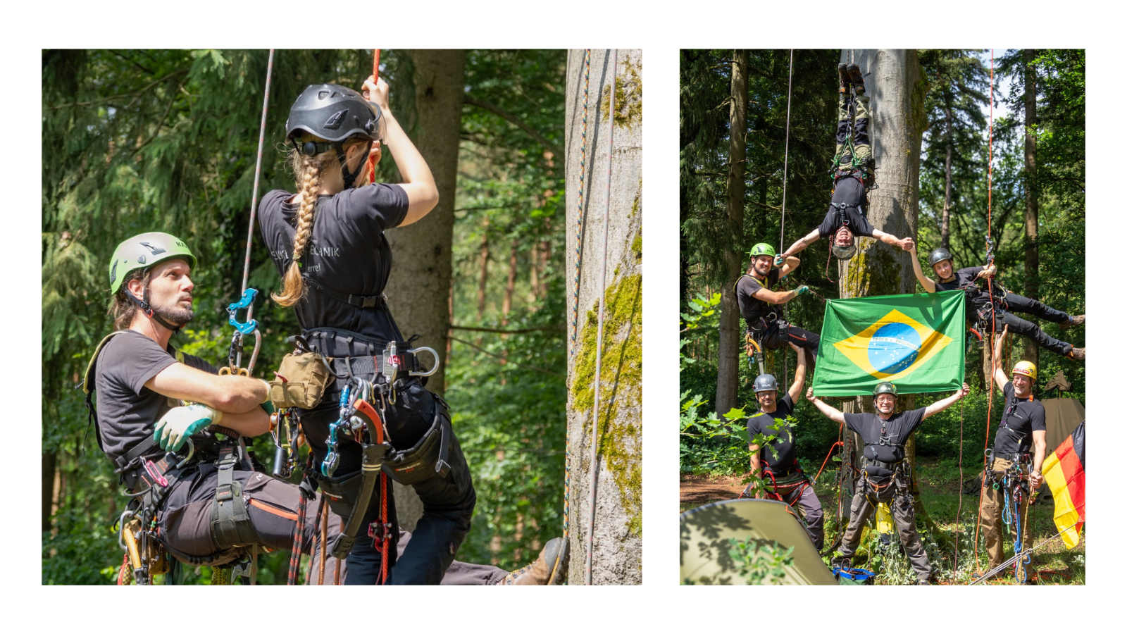 Escalada - Arvoração.png