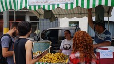 #pratodosverem: Imagem mostra feirantes conversando com estudantes da pós-graduação em Práticas Pedagógicas na Educação Contemporânea. Na barraca, os feirantes vendem frutas.                  