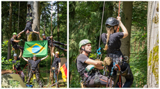 #pratodosverem: Imagem mostra especialistas alemães durante atividade de escalada e poda de árvore
