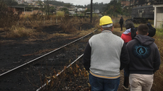 #pratodosverem: Imagem mostra vistoria em área de vegetação do Quarto Depósito