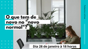 Palestra o que há de novo no novo normal?