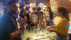 Parque Municipal das Mangabeiras / Museu de Ciências Naturais PUC Minas