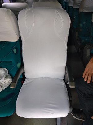 #pratodosverem: na foto, é mostrada uma poltrona acolchoada toda coberta com uma capa branca. Ela está no interior de um veículo, ao lado de outra, que está coberta apenas parcialmente na parte superior (altura da cabeça de um passageiro sentado).