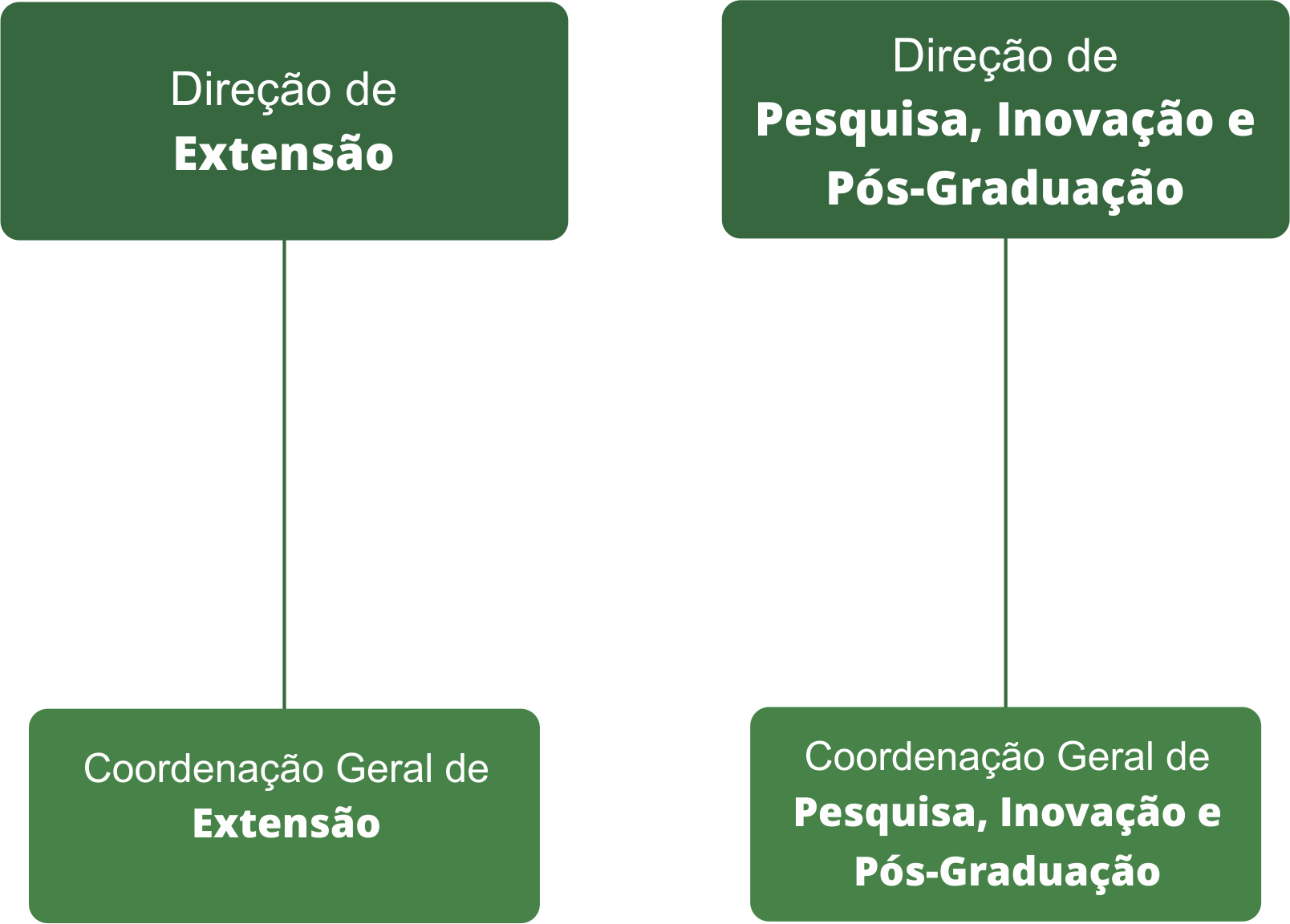 Organograma